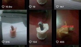 火腿肠制作爆料视频下载,揭秘美味背后的秘密