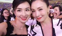 张婷爆料陶虹视频播放下载,播放下载背后的真相