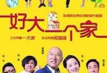 好大一个家电视剧全集在线观看一,温情家庭剧，演绎人间真情