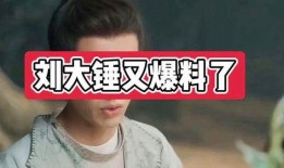 赵大锤最新爆料视频,幕后真相大曝光！