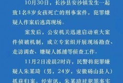 长沙公安局爆料案件最新,连环盗窃案告破，警方揭秘犯罪团伙作案手法