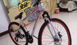 安阳自行车爆料事件视频,真相与争议的交织