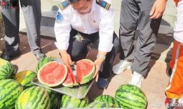 宁乡网红吃瓜事件视频,一场网络狂欢背后的真相揭秘