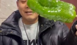 宁乡网红吃瓜事件视频,一场网络狂欢背后的真相揭秘