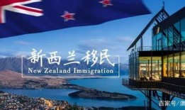 新西兰新闻爆料,揭秘神秘事件背后真相