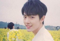 杨紫和肖战最新爆料真的,揭秘幕后故事与精彩瞬间