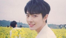 杨紫和肖战最新爆料真的,揭秘幕后故事与精彩瞬间