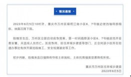 重庆冯先生最新爆料,揭秘某神秘事件背后真相