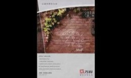 最新人文爆料文案大全,最新文案大全深度解析