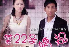 第二十二条婚规全集在线观看,揭秘婚姻背后的秘密与挑战