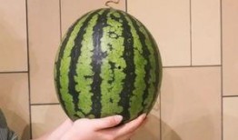 广州市吃瓜娱乐公司地址,探寻都市娱乐新地标