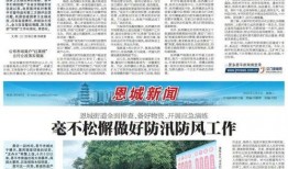 恩平新闻爆料,揭秘重大事件背后真相