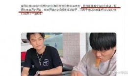 小杨哥兄弟俩爆料视频,揭秘背后惊人真相