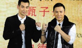 甄子丹爆料吴毅视频播放,揭秘娱乐圈幕后真相