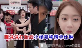 主播爆料卓仕琳视频播放,主播爆料背后故事引热议