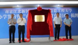 黄石电子厂爆料最新消息,揭秘生产一线的变革与挑战