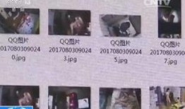 中央新闻爆料,揭秘重大事件背后真相