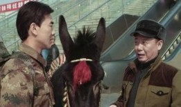 人在驴途电影在线观看,一场奇妙的驴背探险之旅