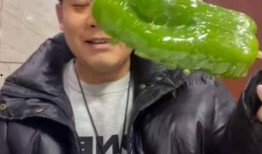 百万网红雅典娜吃瓜,揭秘吃瓜界的风云人物